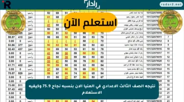 نتيجة الصف الثالث الإعدادي في المنيا الآن بنسبة نجاح 75.9 وكيفية الاستعلام